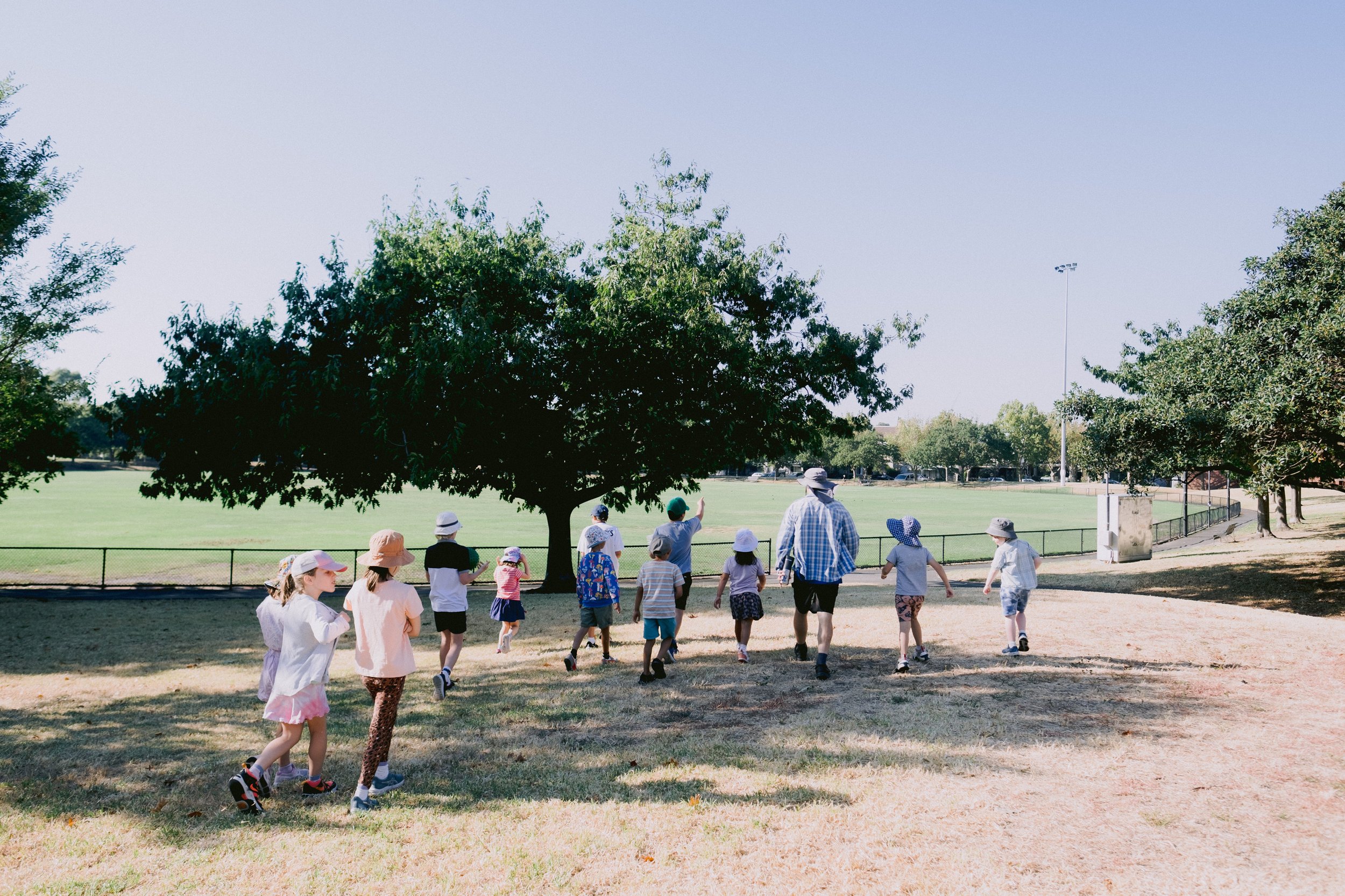 To the oval for sport