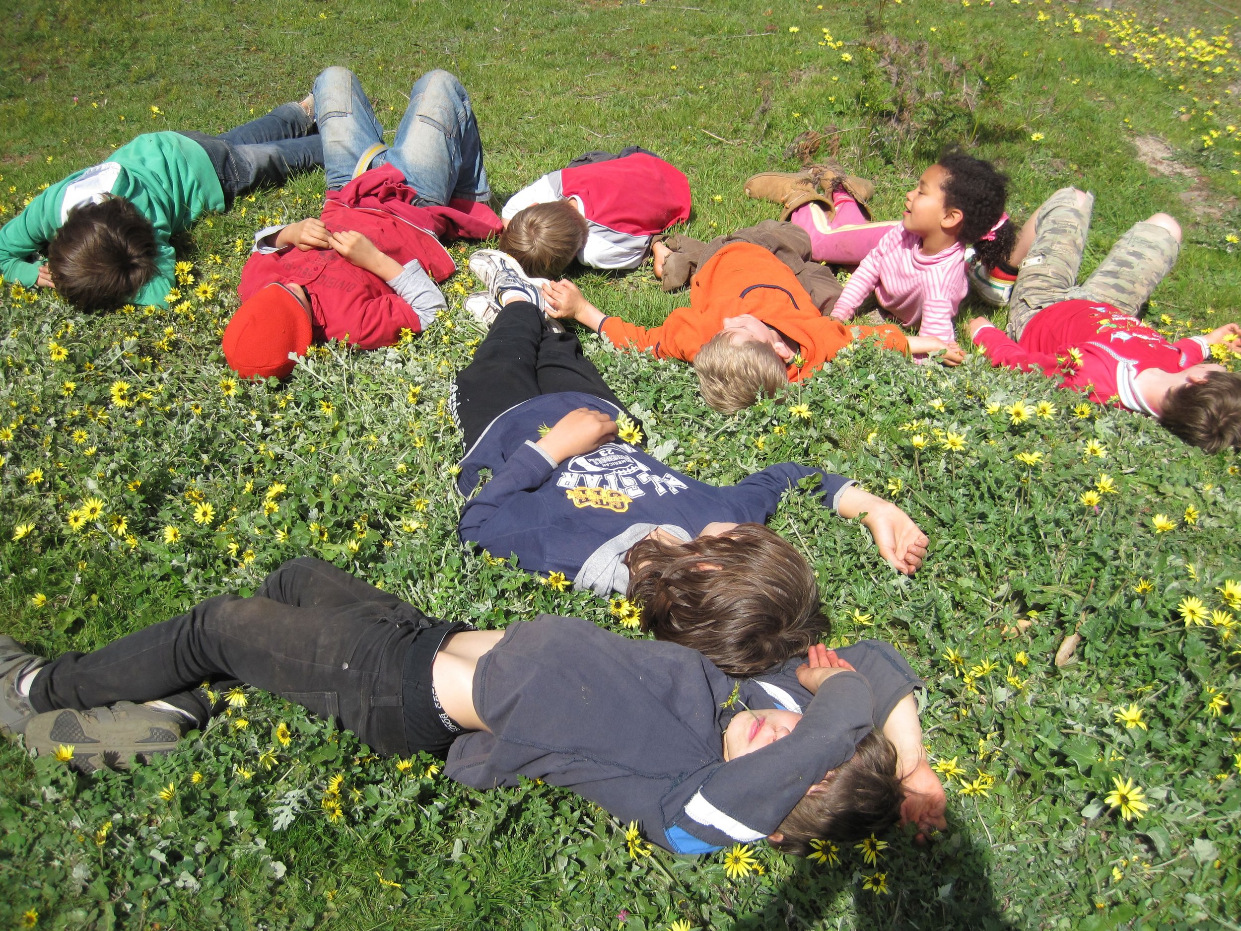 Kids lying in the grass
