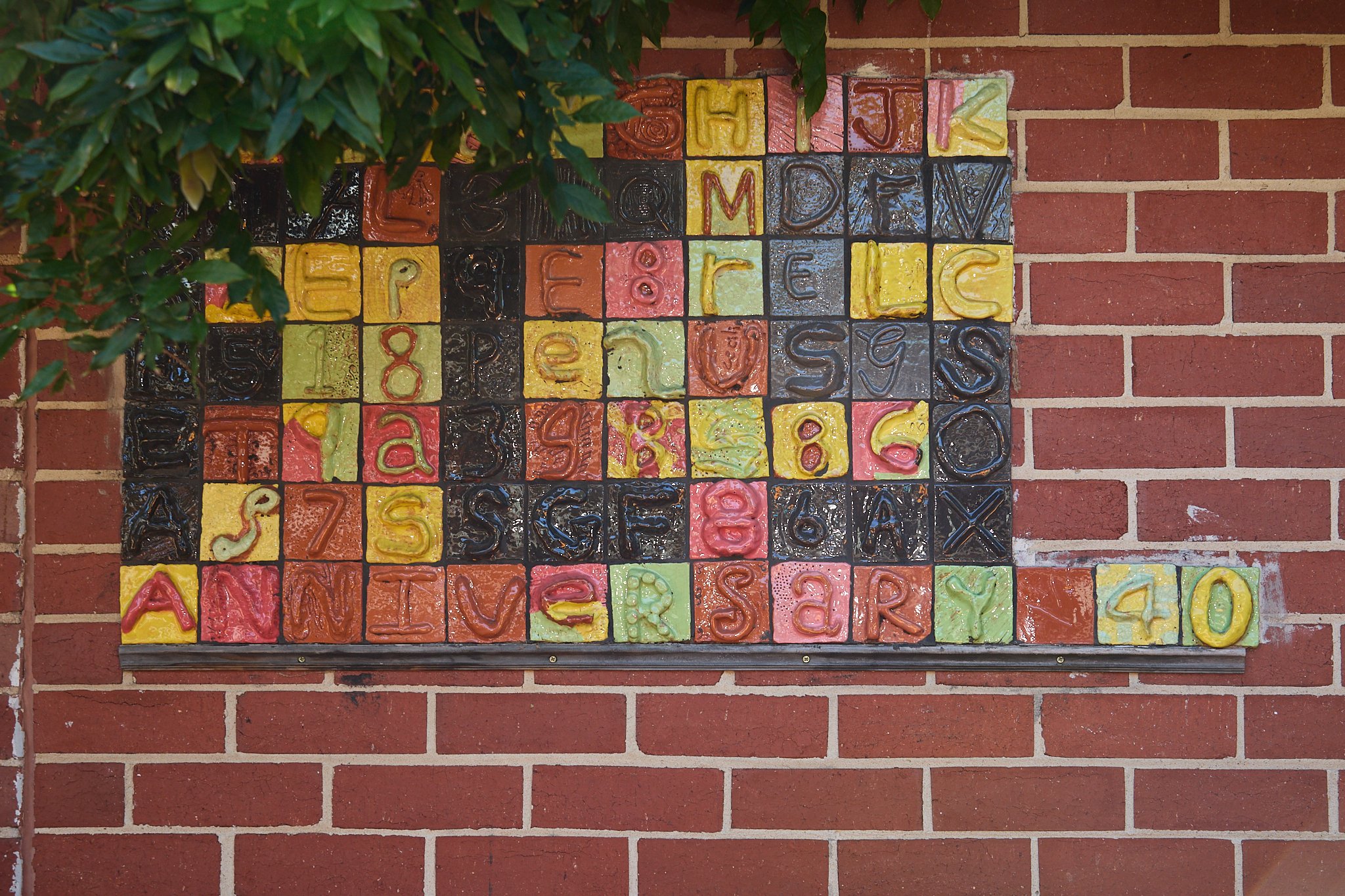 FCS mosaic