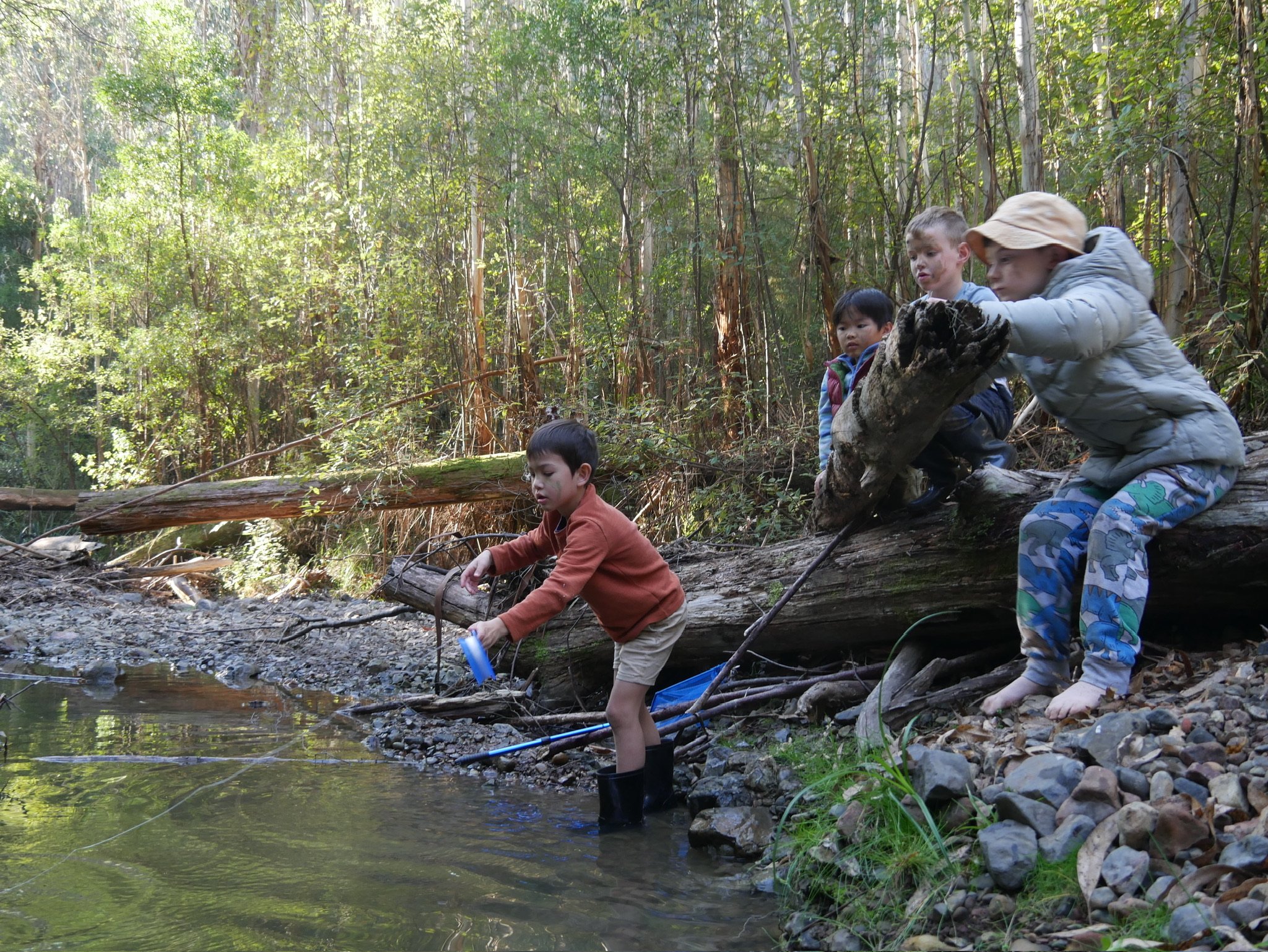 Boy in a creek